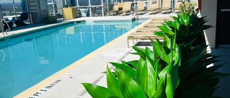 公寓 | 1 間臥室