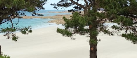 海滩