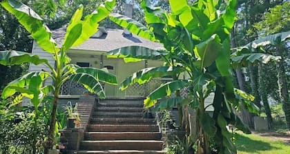 Private 4BR/3BA Home- Spacious, Peaceful & 3 Min Drive to Downtown Greenville