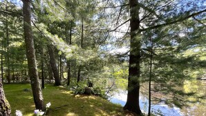 A forested area with a pond, surrounded by tall trees and patches of grass. - Lazy Days @ Spring Brook Resort (Wisconsin Dells)