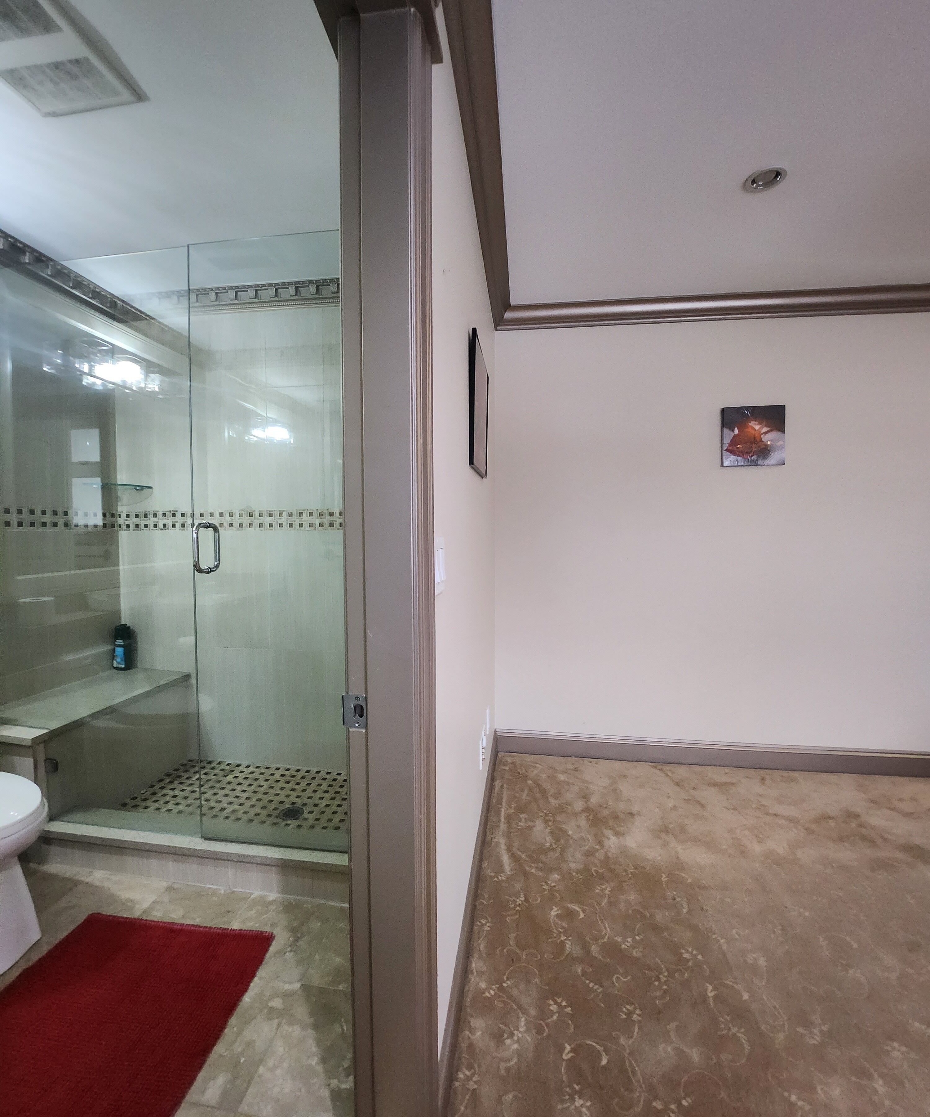 A bathroom with a glass shower enclosure, a toilet, and a red rug.