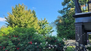Een tuin met diverse planten en bloemen, waaronder hortensia's en rozen, en een gebouw met een balkon.