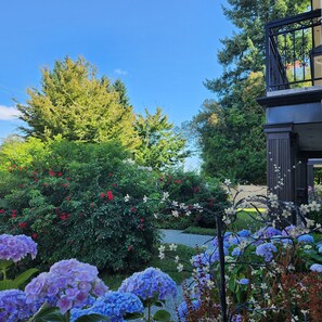 Exterior - Royal Boutique Hotel (Surrey)