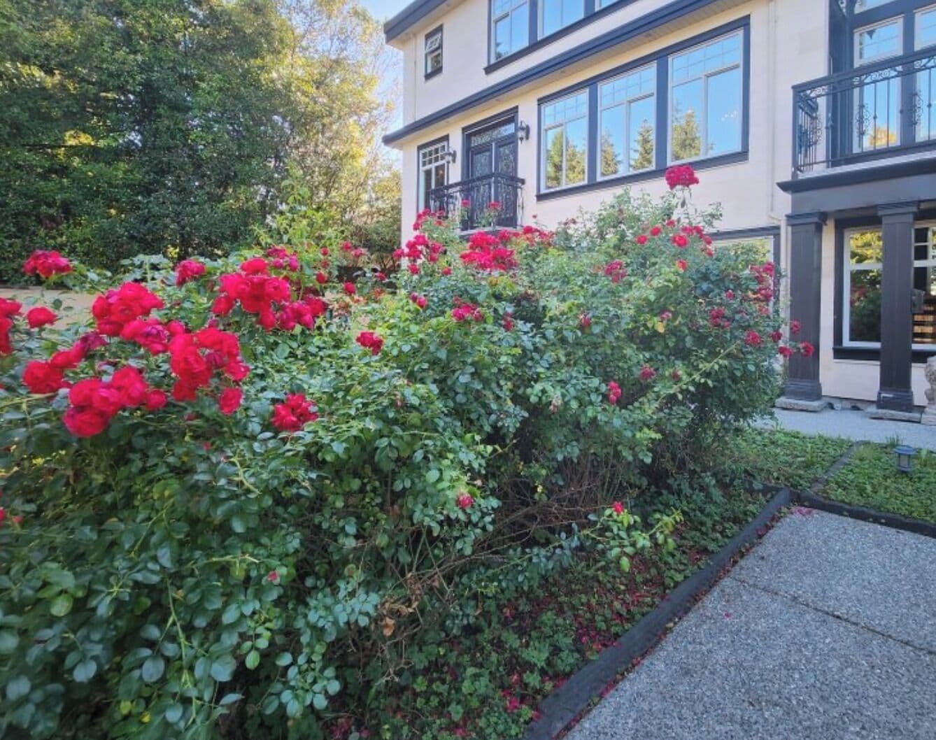 A building with a garden featuring red flowers and a paved walkway.