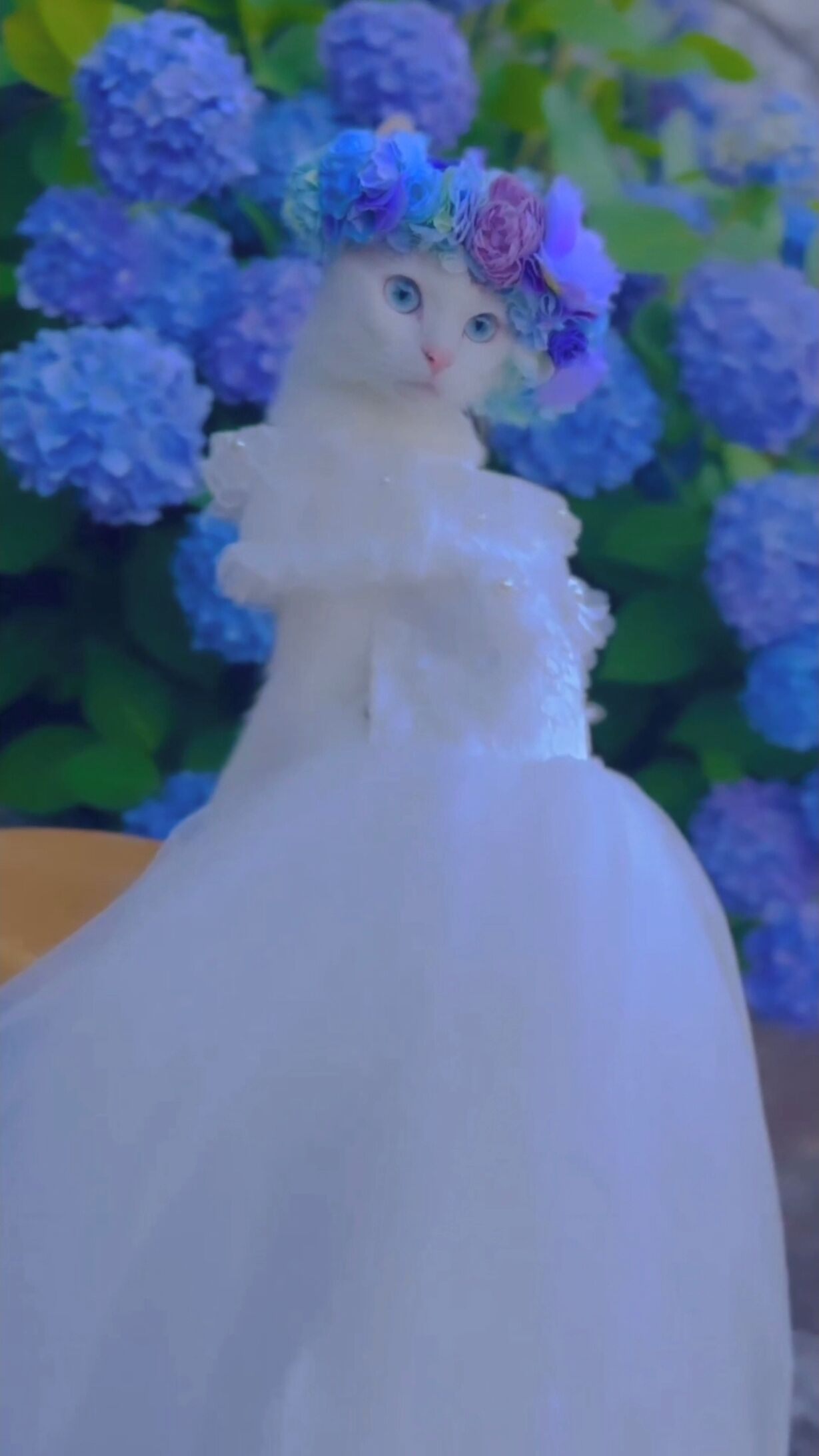 A white statue with a floral headpiece.