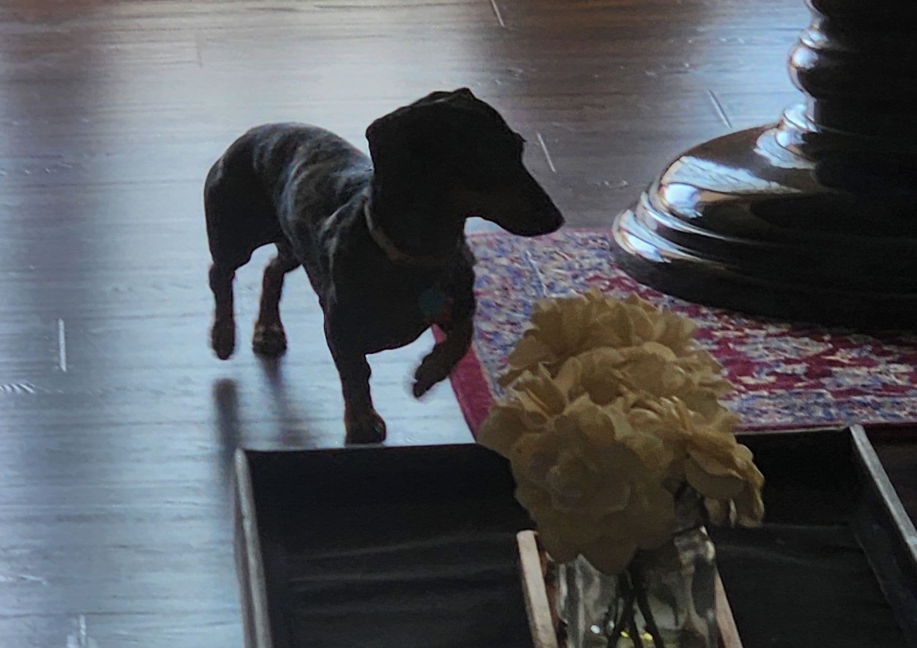 A small black dog figurine on a wooden floor next to a vase with yellow flowers.