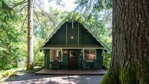 A cabin with a porch, surrounded by trees. - Fog & Fern Hideaway - Cozy Cabin w/ Private Hot Tub near Mt. Rainier (Ashford)