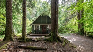 A cabin surrounded by tall trees in a forest. - Fog & Fern Hideaway - Cozy Cabin w/ Private Hot Tub near Mt. Rainier (Ashford)