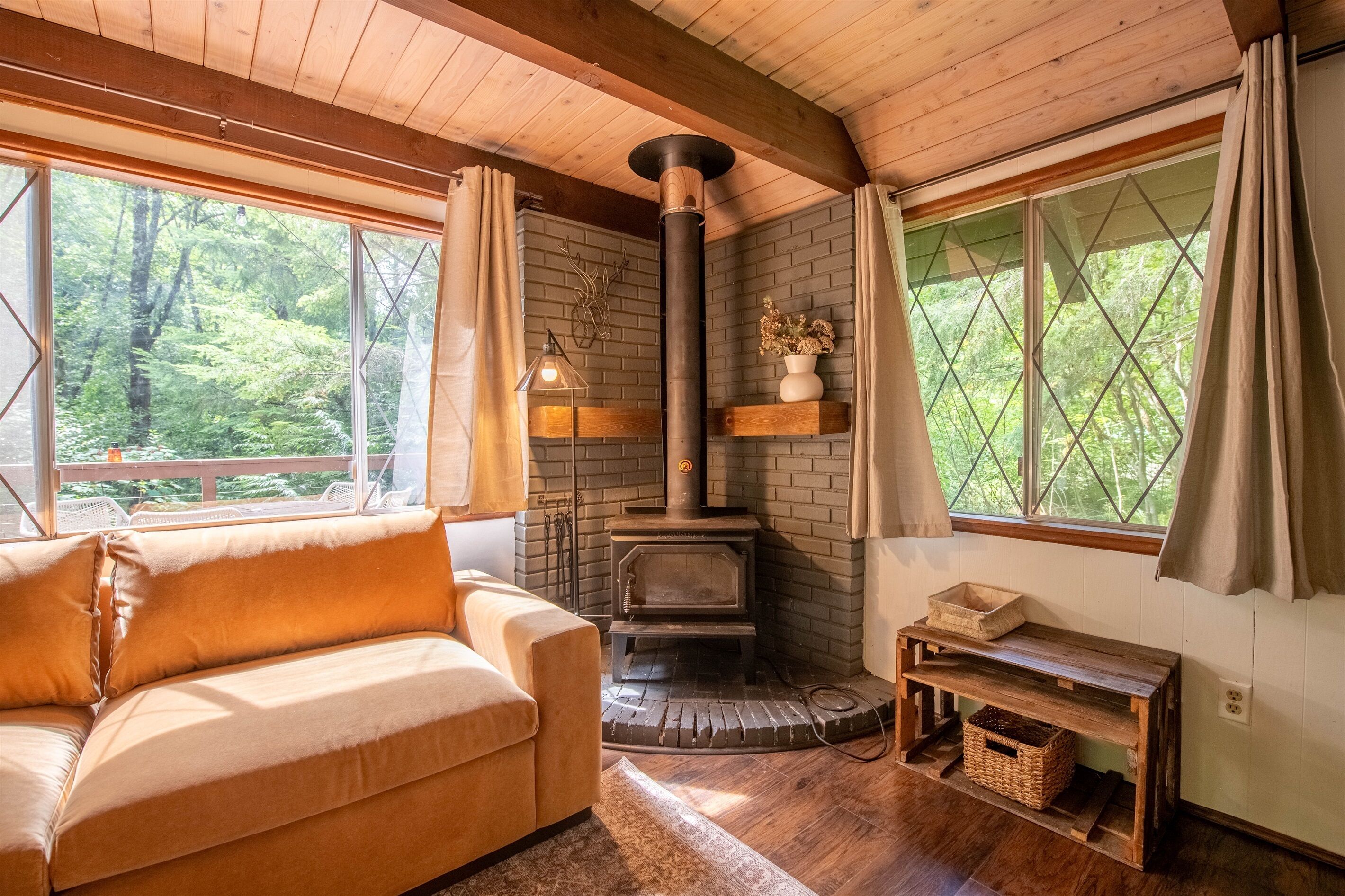 Smart TV y chimenea 