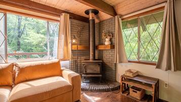 Smart TV y chimenea