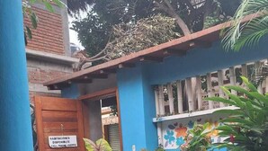 A courtyard with potted plants, a blue wall, and a wooden door with a sign indicating available accommodations and a cell phone number. - La Casa Del Sueño (Mazunte)