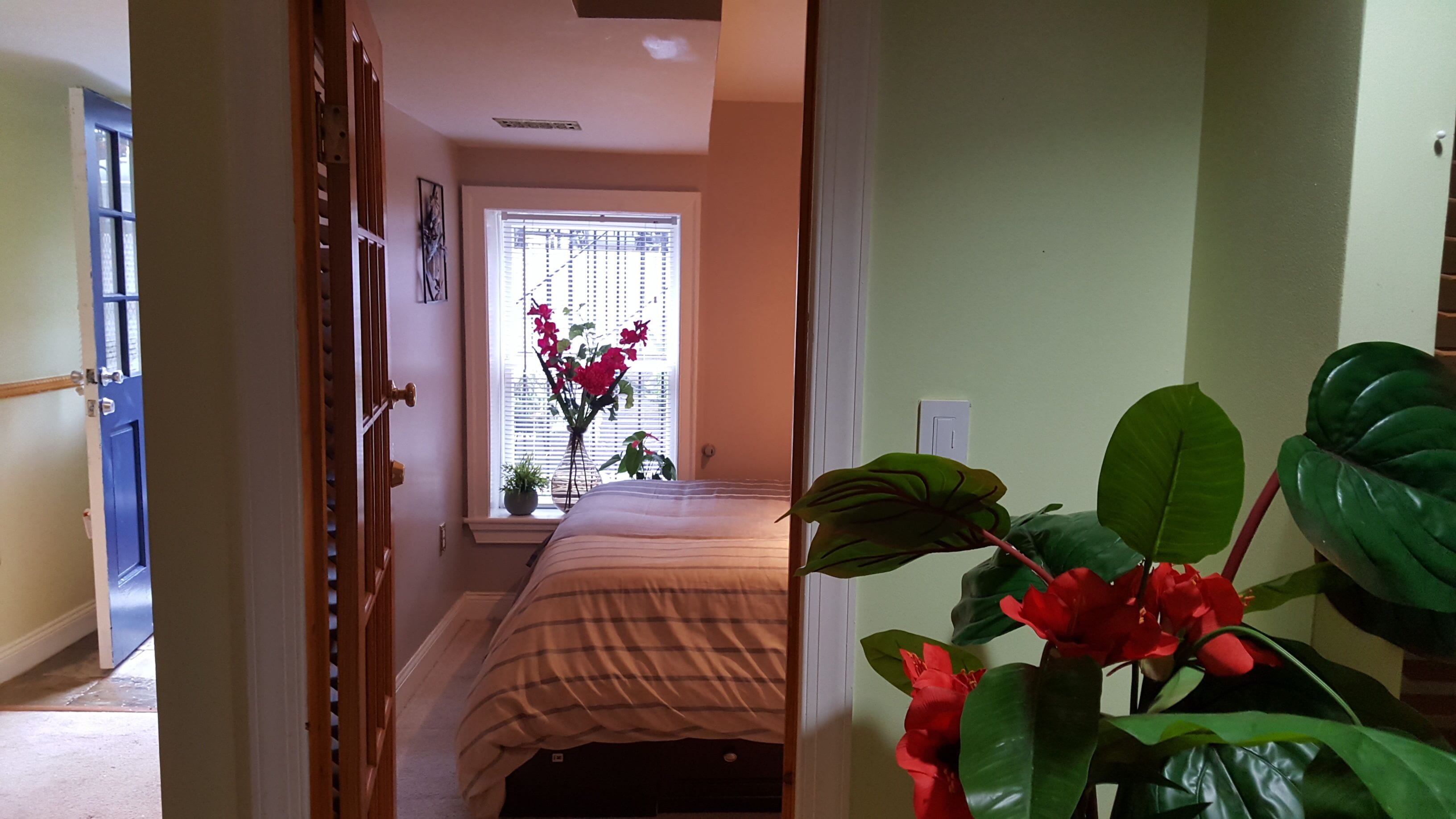 Un corridoio stretto che porta a una camera da letto, con un letto, una finestra con persiane e una pianta con fiori rossi.