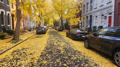 Beautiful 2-BR Apt Sleeps 5 Fabulous Location Historic Street Family-friendly