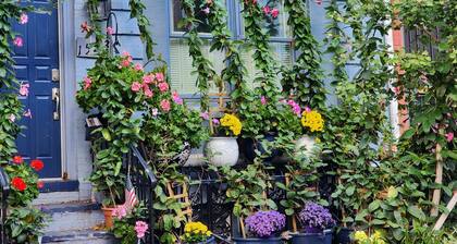 Welcoming 2-BR Apt Great 5 Star Location Sleeps 5 Parking Avail Family-Friendly