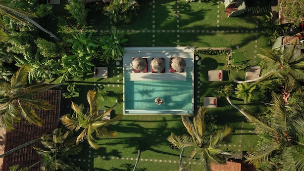 An aerial view of a pool area with a rectangular pool, four lounge chairs, and surrounding palm trees. - Casa Tikiri - BOUTIQUE HOTEL Adults-Only (Ahangama)