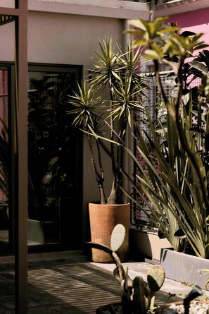 A potted cactus and a tall palm plant in a courtyard with a tiled floor and a metal railing.