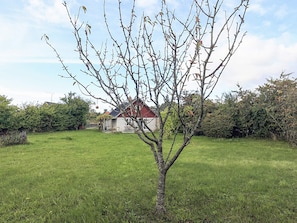 A single tree in a grassy yard with a house in the background. - 5 Person Holiday Home in Lundby (Lundby)