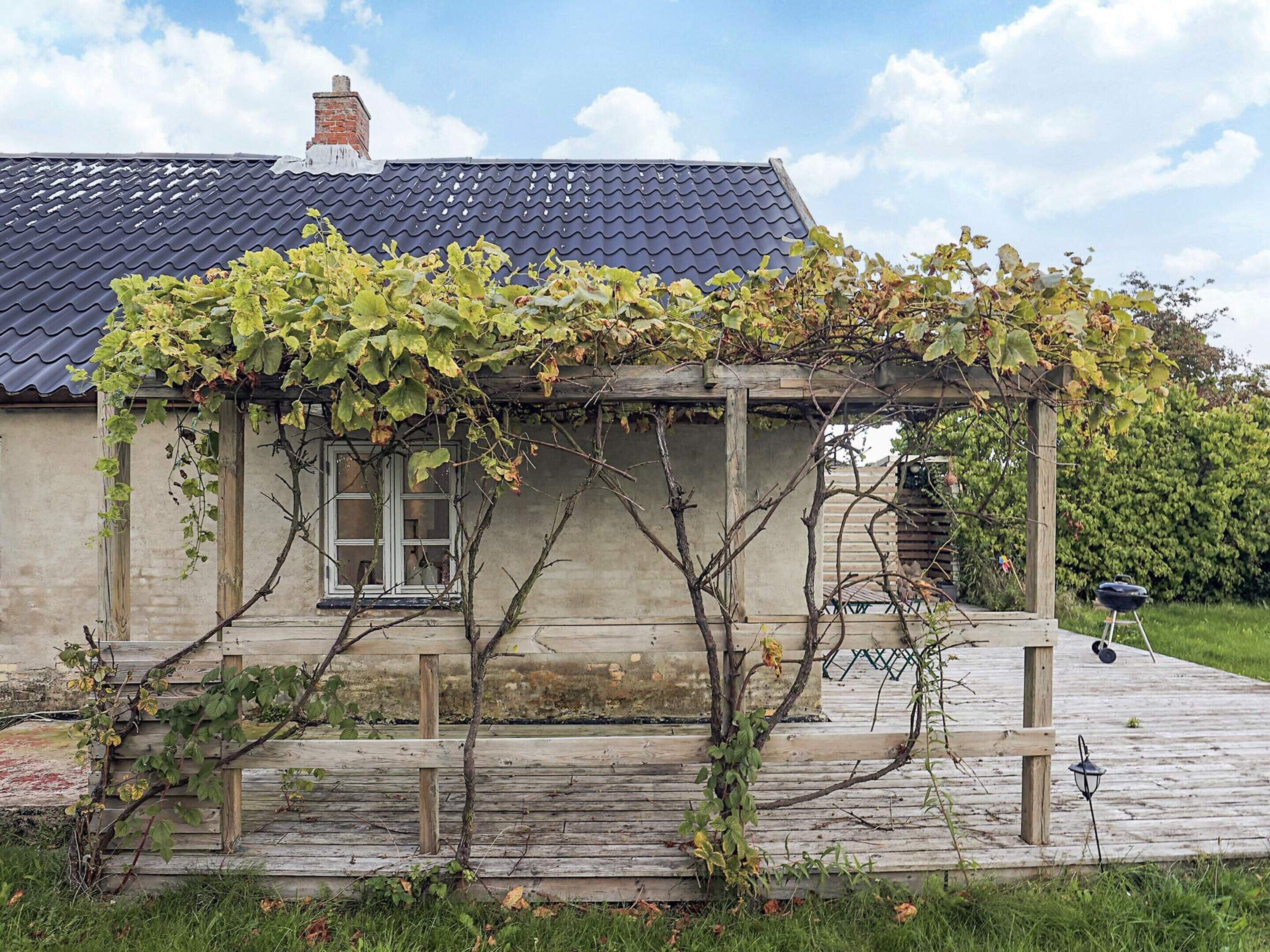 Ferienhaus | Blick von der Unterkunft