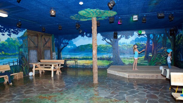 Chalet | Fitness facility - Modern Chalet in a Park Near the Veluwemeer (Hulshorst)