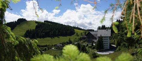 Áreas de la propiedad