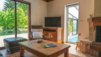 TV, fireplace, books