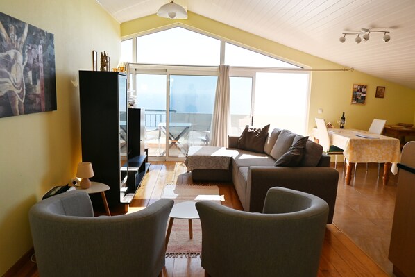 Smart TV, DVD player, books, video library