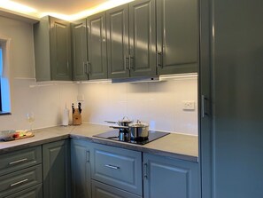 Frigorífic, microones, placa de cuina i rentaplats