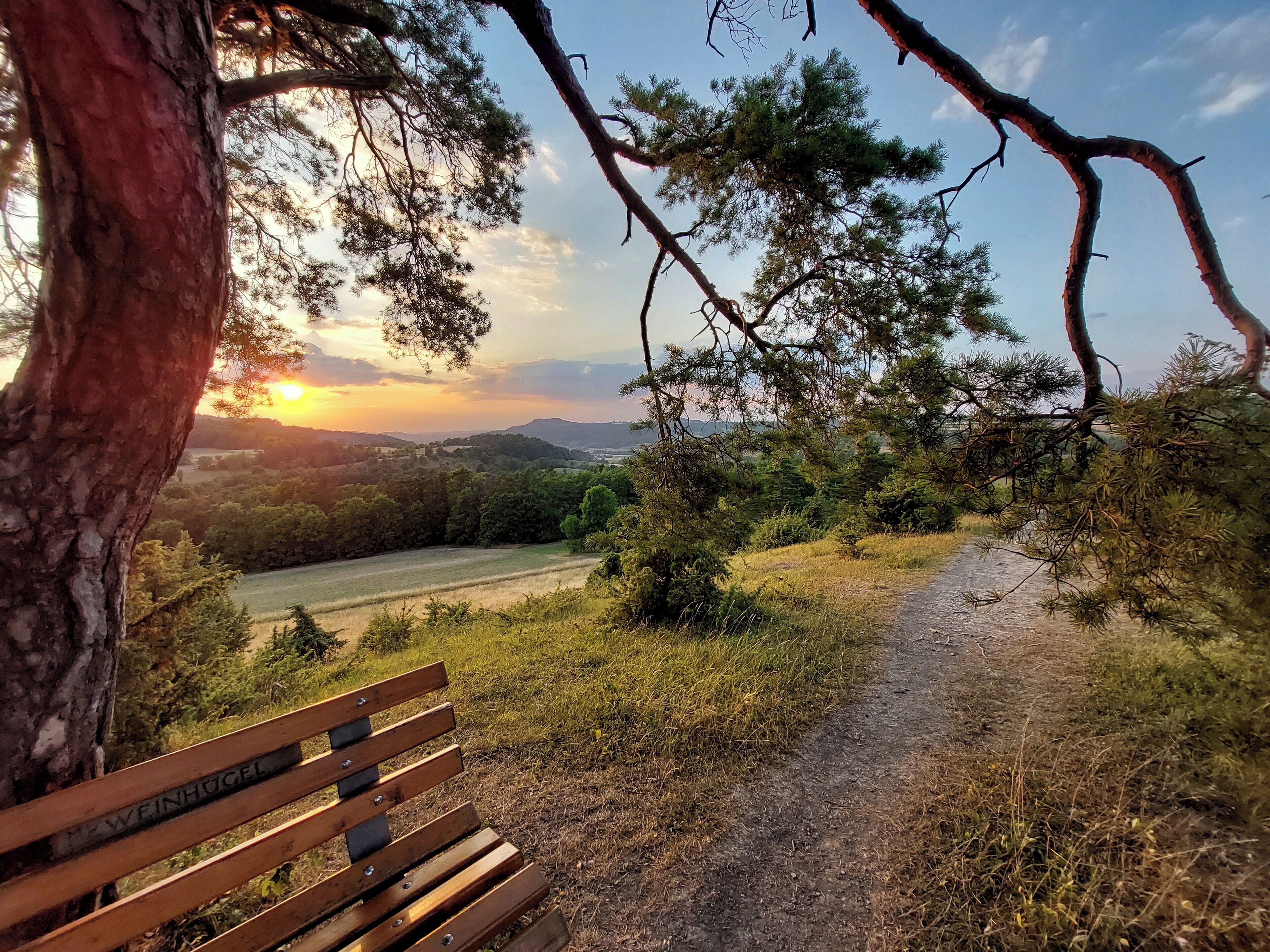 A wooden bench with engraved text, a dirt path, and a scenic view of a valley with trees and a sunset.