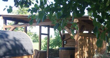 Marvelous Manor House with 4-bedrooms and huge garden in Zakroczym