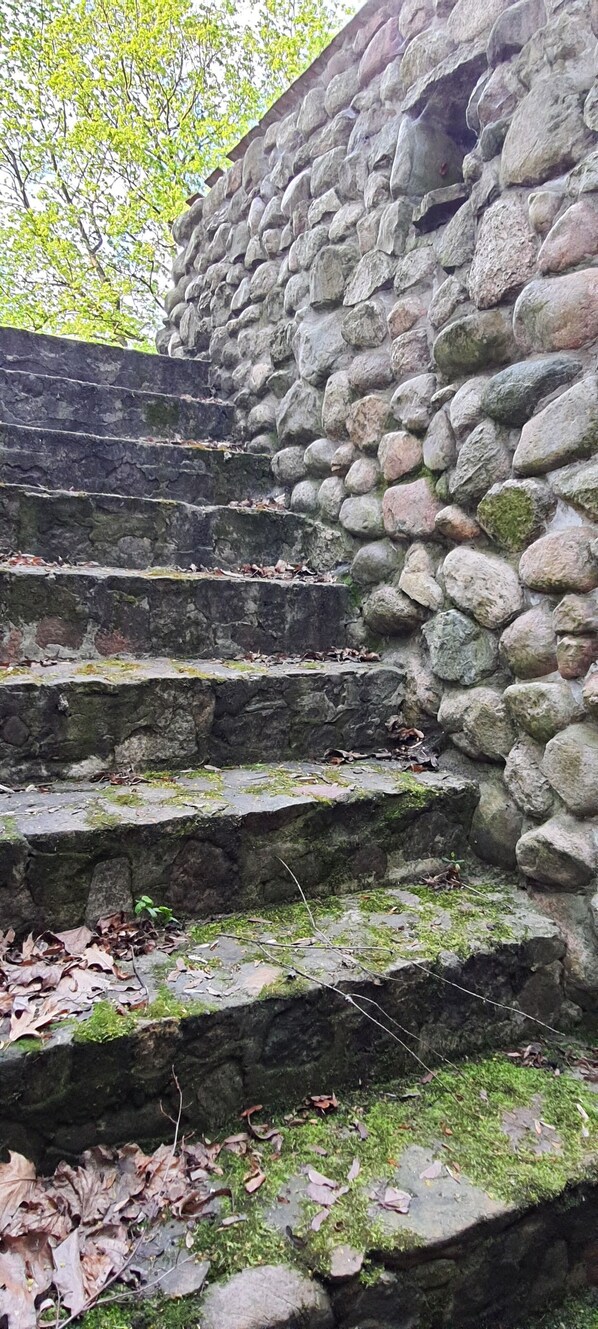 A stone staircase leading up to a building with a moss-covered wall.
