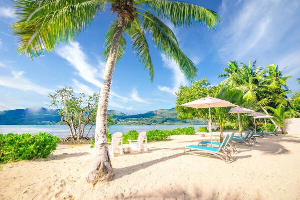 A beach with lounge chairs and umbrellas, palm trees, and a view of the ocean.