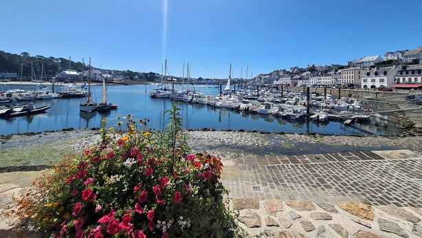 Una marina con barcos amarrados, cielo despejado y edificios al fondo.