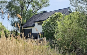 Une maison avec un toit sombre, entourée d’herbes hautes et d’arbres.