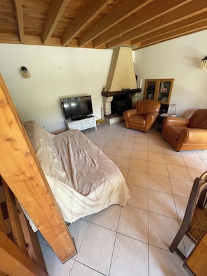 TV, fireplace - Country house with river access from private pontoon (Beaumont-sur-Sarthe)