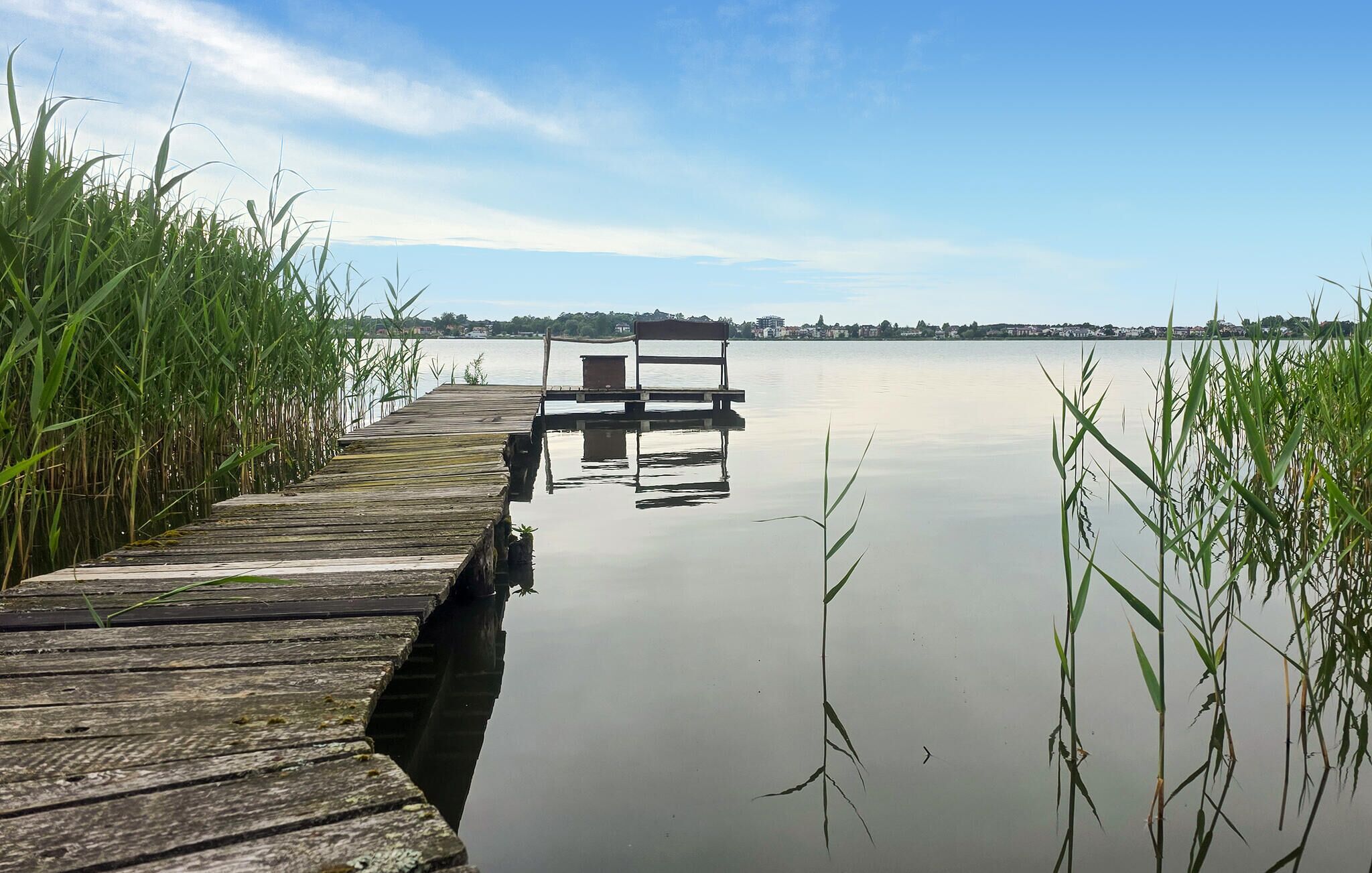 Eine hölzerne Mole, die ins ruhige Wasser ragt, mit einer Bank am Ende, umgeben von hohen Schilfhalmen.