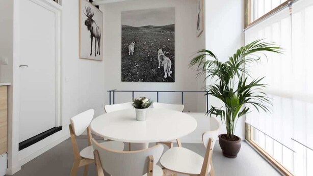 A modern dining area with a round table, white chairs, and a potted plant.