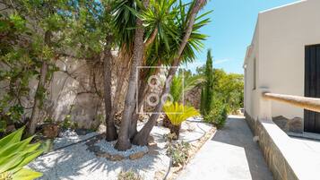 Àrea exterior de l'allotjament