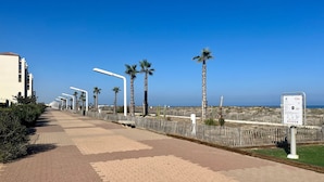 A paved walkway lined with palm trees and street lamps, leading towards a body of water. - Renovated 2BR Ground Floor, 4P, Pets OK, Parking, 400m Beach (Le Barcarès)