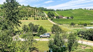 A vineyard with rows of grapevines, a dirt path, and a parked car. - Wonderful private villa for 6 guests with WIFI, A/C, TV and terrace (Asti)
