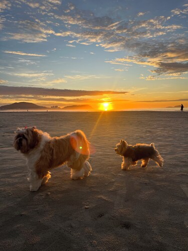 Apartamento Rio Negro, Guaruja, praia da enseada e acomoda até 8 pessoas.