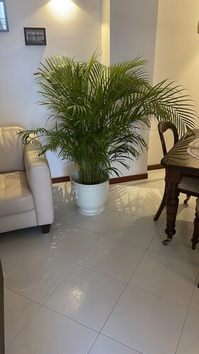 75 sqm apartment Excellently served, Free parking 24h