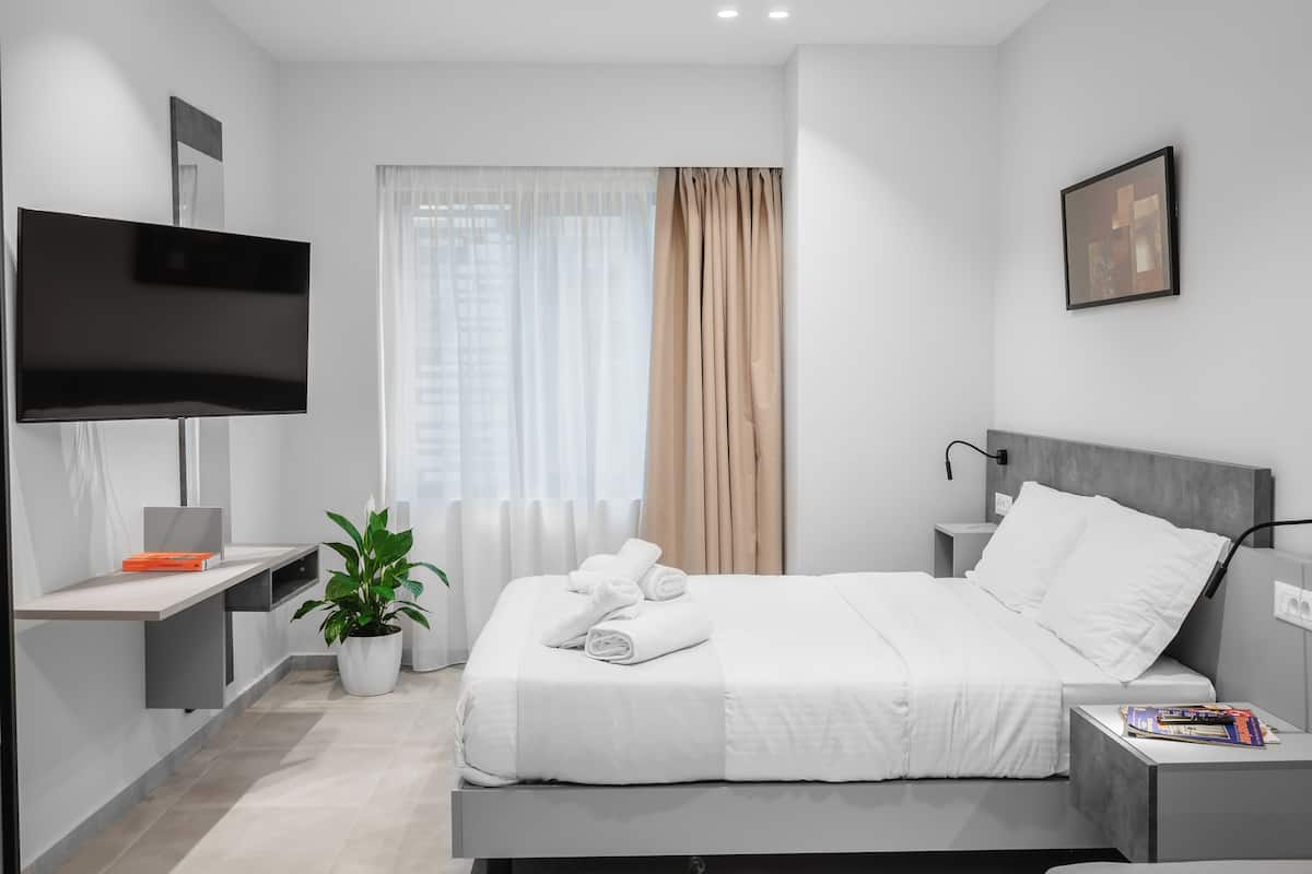 A modern hotel room with a bed, a flat-screen TV, a bedside table, a potted plant, and a window with curtains.