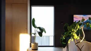 A modern interior with a wooden floor, two potted plants, a large window, and a painting on the wall.