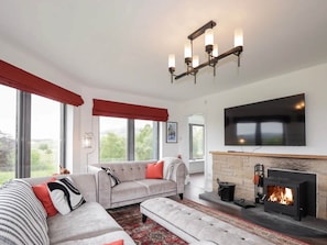 Smart TV, fireplace, books