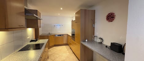 Oven, stovetop, dishwasher