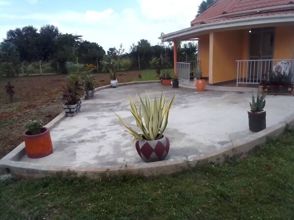 A house with a covered porch, potted plants, and a concrete patio.