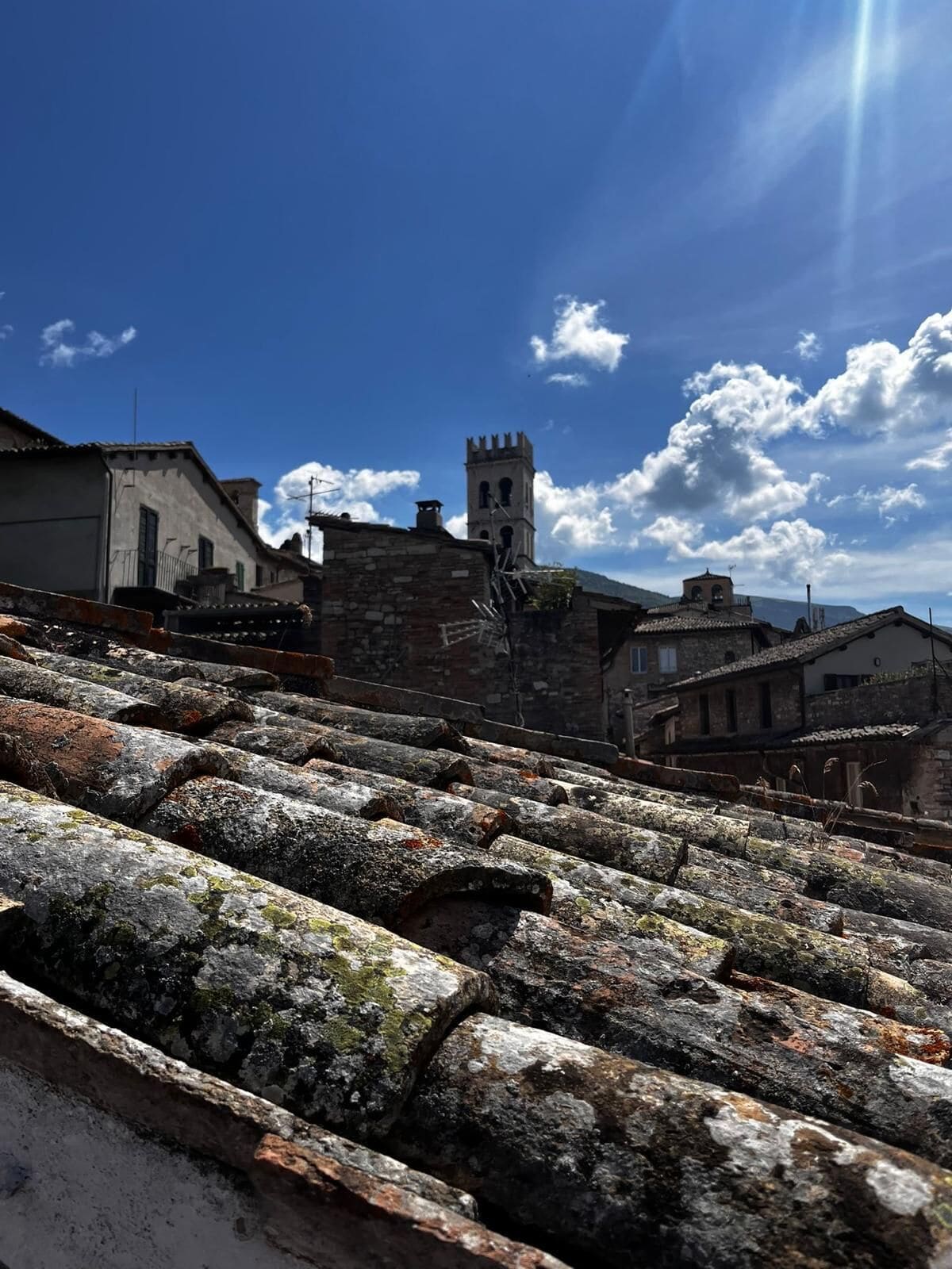 Foto - Hotel Lieto Soggiorno