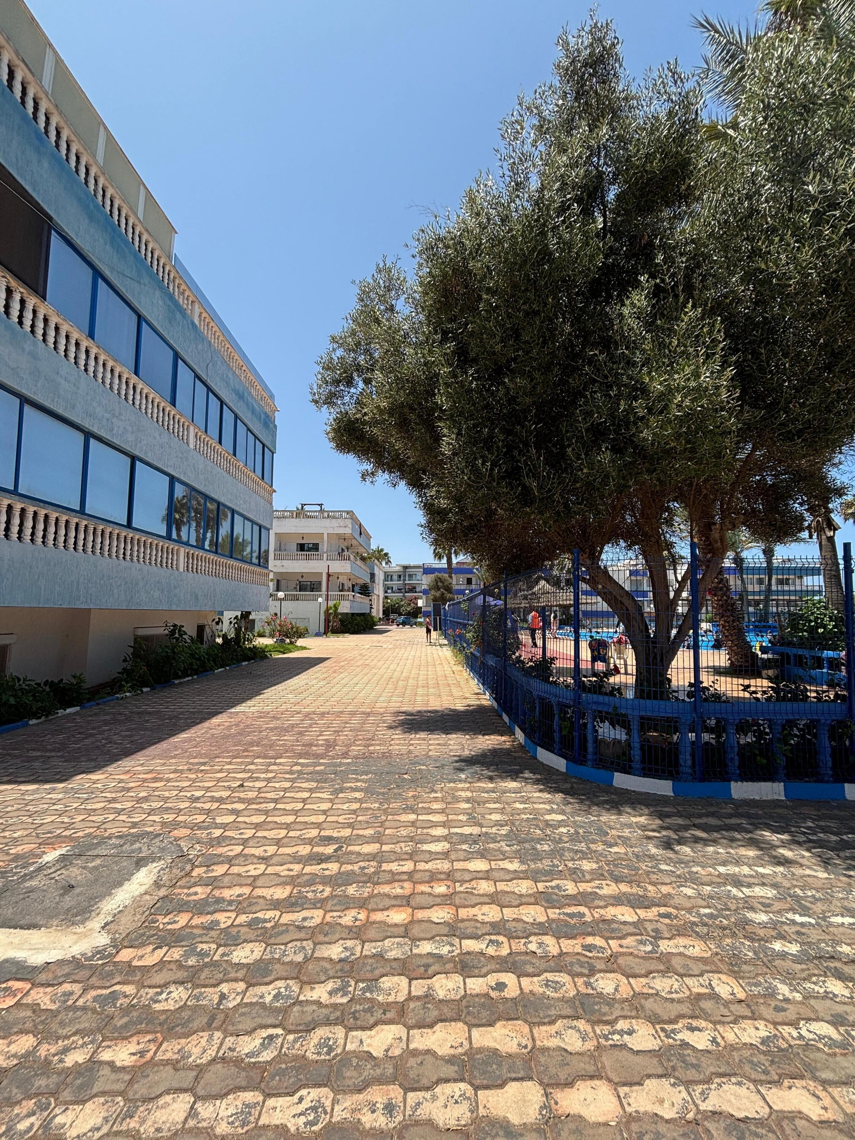A paved walkway leading to a building with a blue fence and trees.