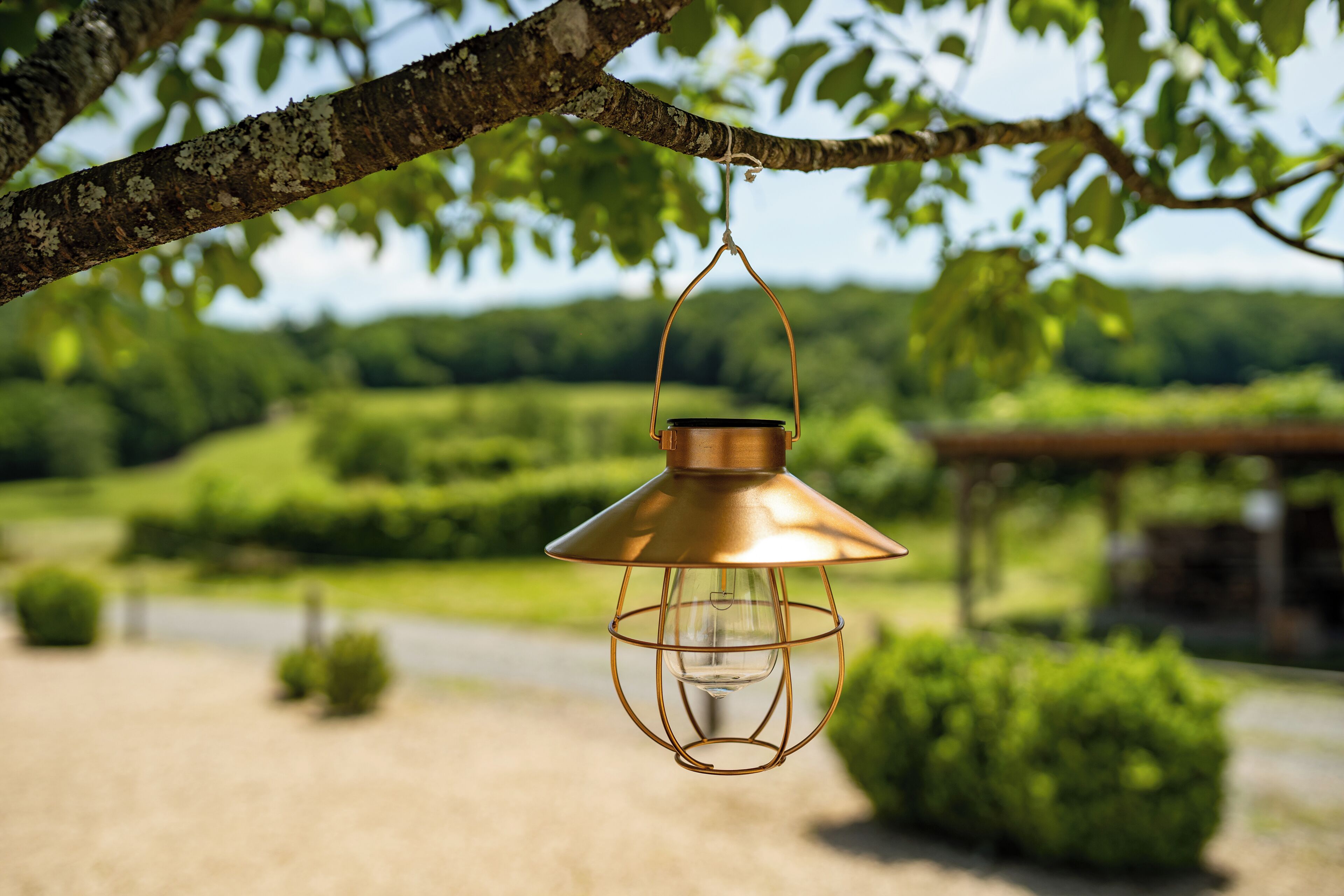 A hanging lantern with a copper finish, suspended from a tree branch.