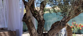 "Finca Navalpino A Natural Paradise Near Puy du Fou, The Weather Is Your Choice"
